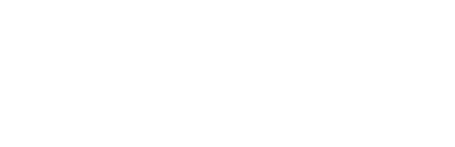 Intellectual Point logo