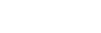 Intellectual Point logo